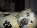 13 år 005.jpg