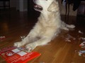 13 år 011.jpg