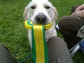 20100807141.jpg