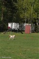 36haninge.jpg