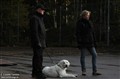 Jesper, The One and Only  (hans alias då han va den enda hanen i kullen).jpg