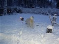 Julen 2009 024.jpg