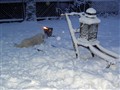 Julen 2009 025.jpg