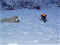 Julen 2009 026.jpg