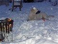 Julen 2009 031.jpg