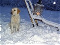 Julen 2009 036.jpg