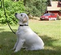 sommar 09 018.jpg