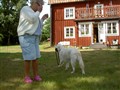 sommar 09 027.jpg