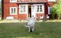 sommar 09 028.jpg