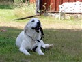 sommar 09 030.jpg