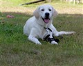 sommar 09 031.jpg