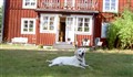 sommar 09 033.jpg