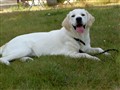 sommar 09 036.jpg