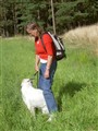 valpträff augusti 019.jpg