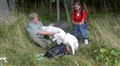 valpträff augusti 020.jpg