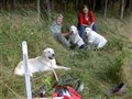 valpträff augusti 022.jpg